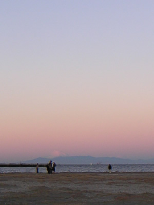 どちらかというと、こっちの方が感動した