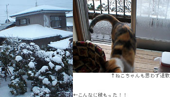 ぶるぶるぶる